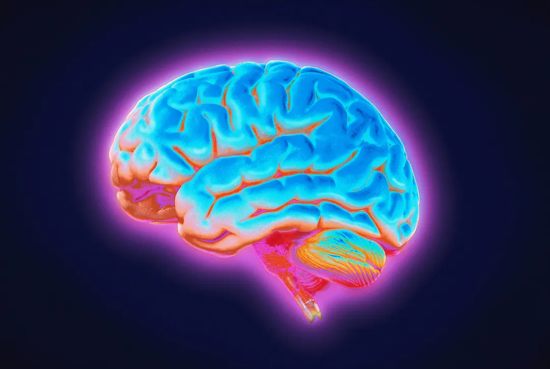 Gene Therapy Restores 'Lost' Memories in Mice by Reprogramming Neurons