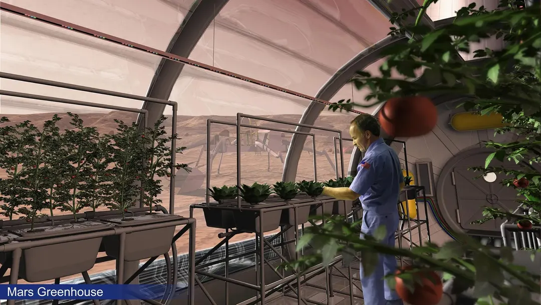 Fungi could be key to growing food on Mars, review finds