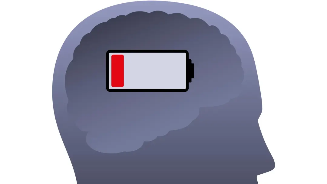 REM sleep paradox: dreaming brain burns more energy as fuel supply rises
