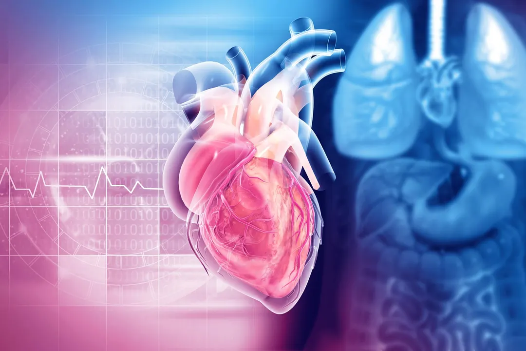 Rice-Grain-Sized Diamond Quantum Sensor Measures the Heart's Magnetic Field