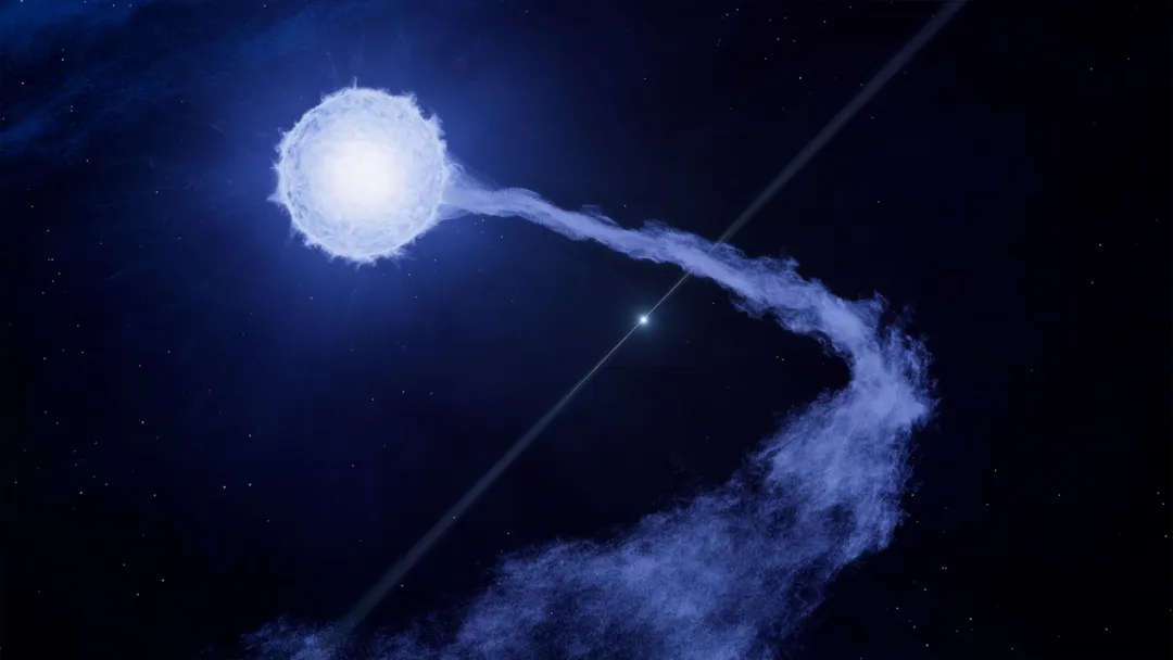 XRISM first sees stellar wind feeding pulsar GX 301-2's X-ray flares