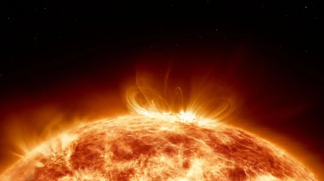 Scientists Use Tree Rings to Predict the Next Big Solar Storm