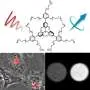 Metal-free molecules glow deep red in water and boost MRI contrast