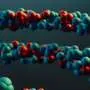 MIT finds way to keep RNA vaccines stable at high temperatures