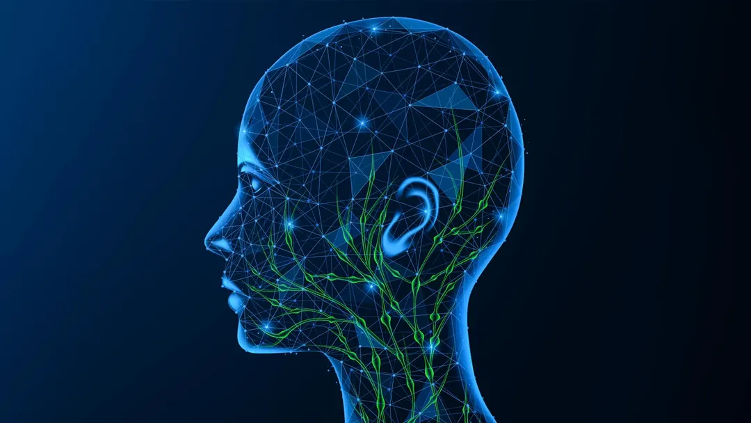 Scientists find Alzheimer's immune driver outside the brain