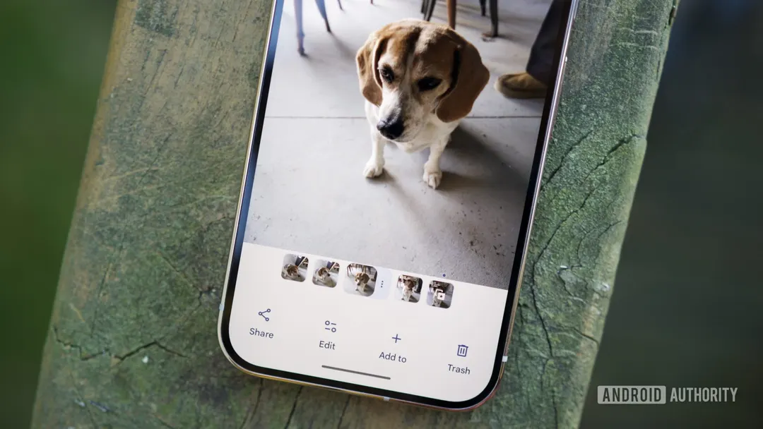Google confirms Photos bug blocking sharing, editing and deleting