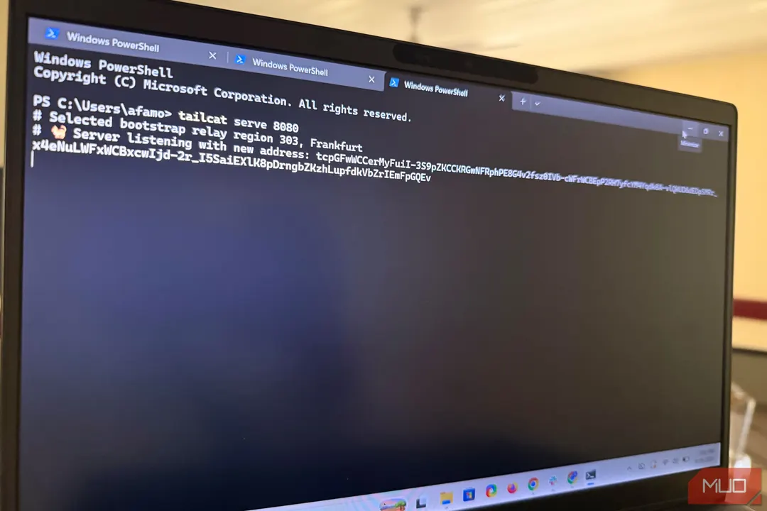 Tailscale's Tailcat connects two PCs without public IPs