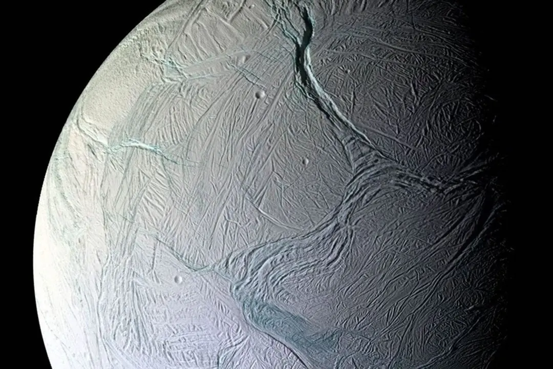 Microbes Survive in Simulated Enceladus Ocean