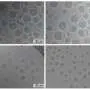 MIT automates lipid nanoparticle production for RNA therapies