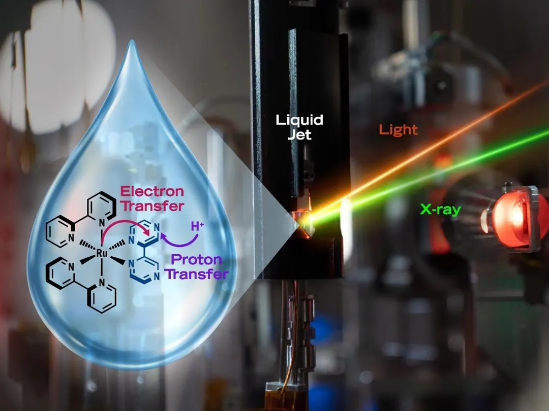 Scientists capture proton-coupled electron transfer with solvent reorganization in detail