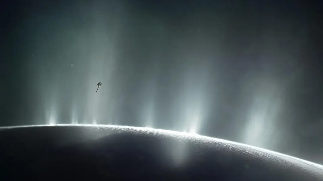 Ice blasting from Enceladus is chemically more diverse than expected