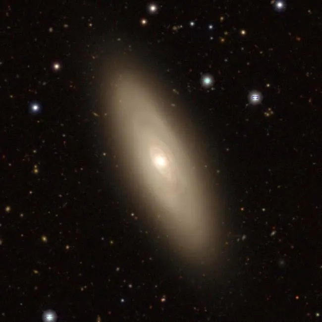 Supermassive Black Holes May Enhance Star Formation