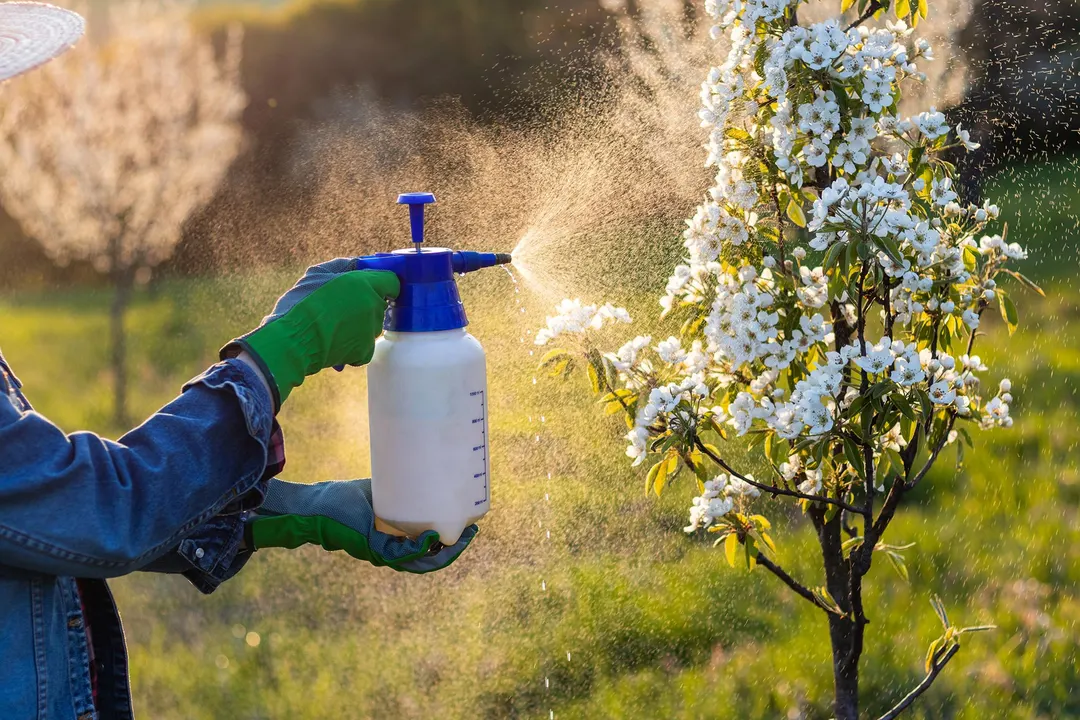Scientists Identify 485 Pesticide Chemicals With Potential Breast Cancer Links