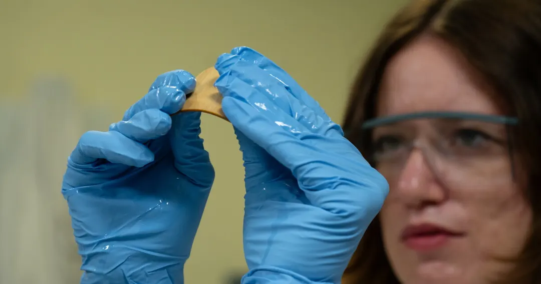 Bio-based solvent Cyrene bends solid wood at just 65 °C