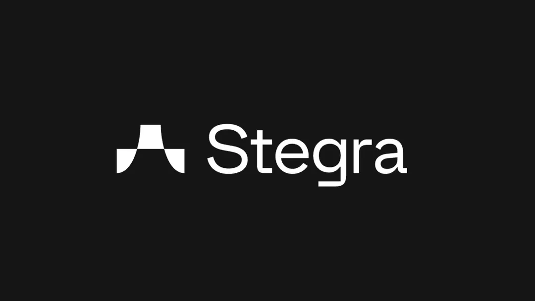 Stegra needs extra capital for giant green steel plant, names new CEO