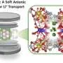 Soft material that selectively transports lithium ions could improve solid-state batteries