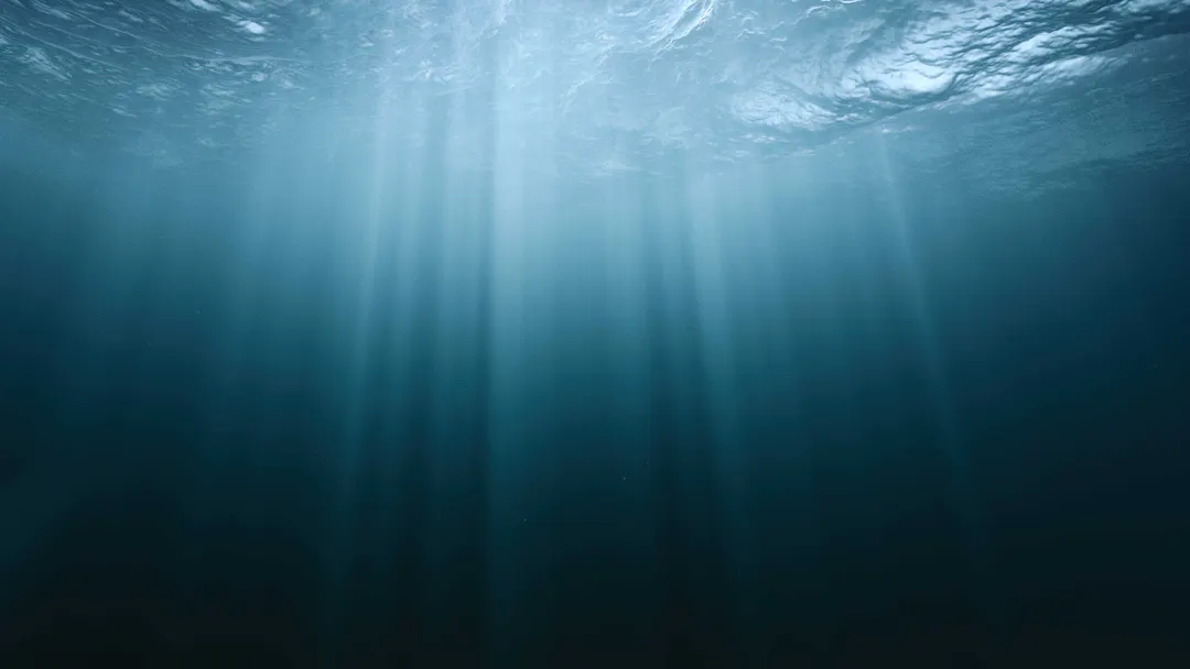 Meta plans first petabit-per-second subsea cable between US and France
