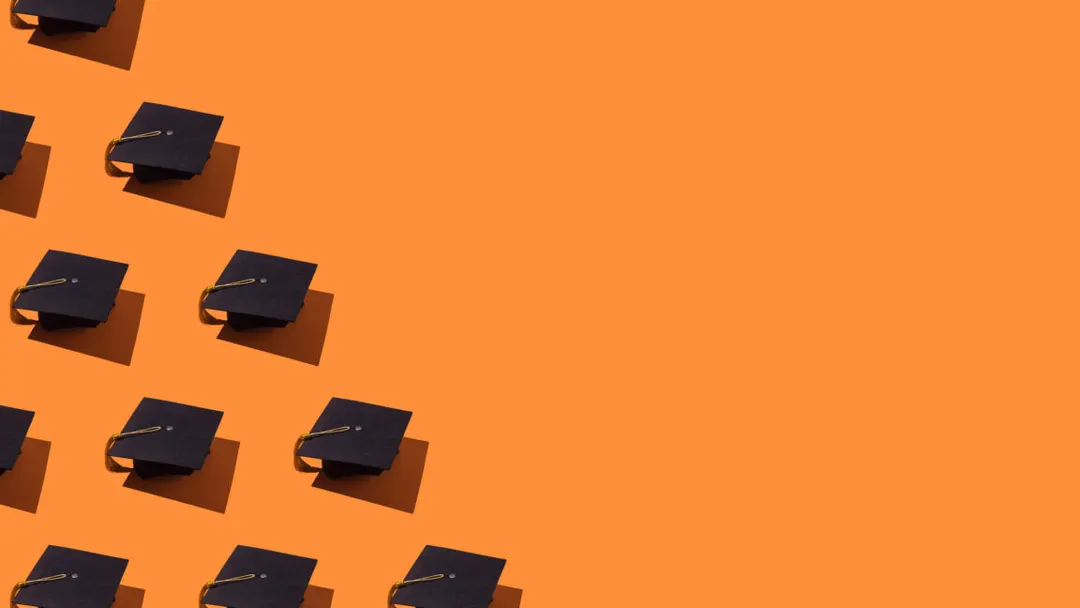 CESifo study finds no AI-driven unemployment spike among new grads