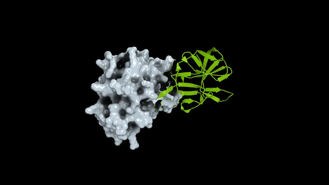 Nvidia and DeepMind open protein structures for 2,800 viruses via AlphaFold