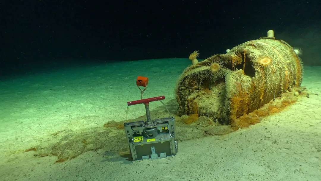 Low-Level Radioactive Waste Dumps in the Atlantic Have Become Ecosystems