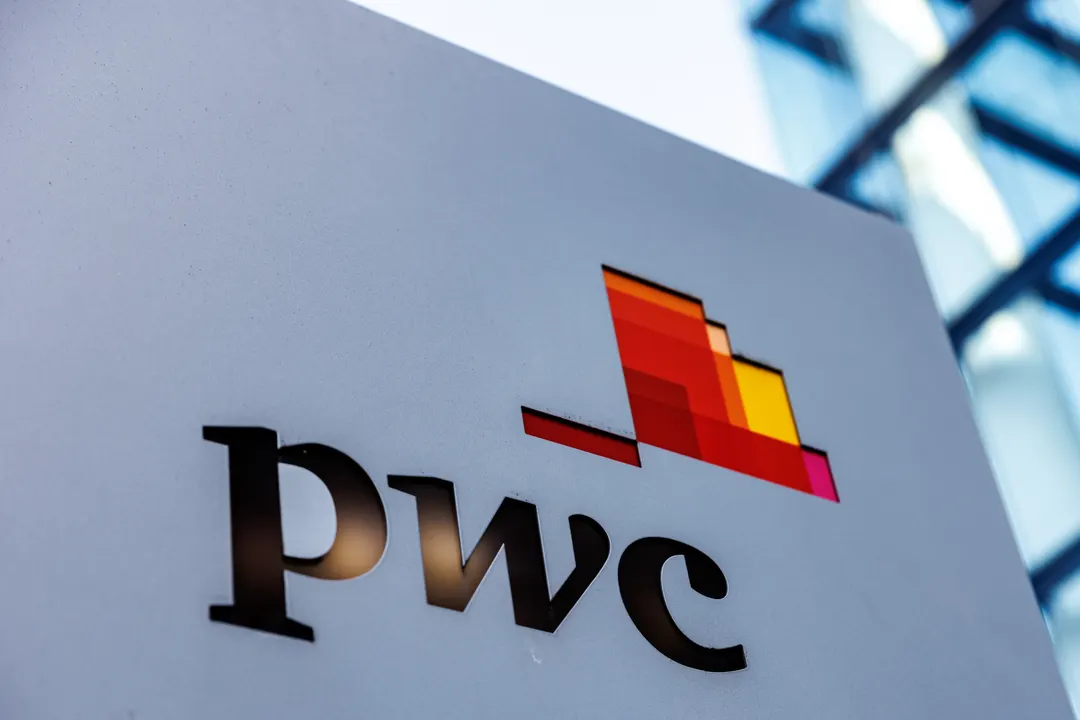 PwC: businesses can't agree who owns AI risk