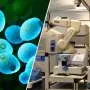 Swedish AI scientist autonomously generates and validates biological discoveries