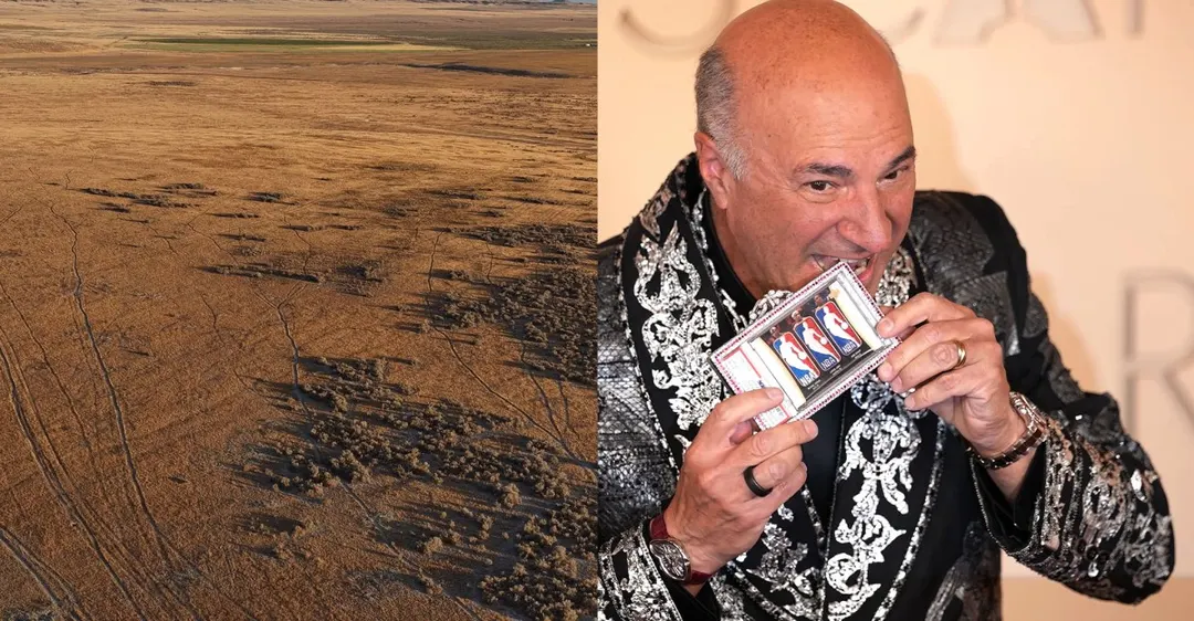 Kevin O'Leary and Fox News face defamation suit over Utah data center