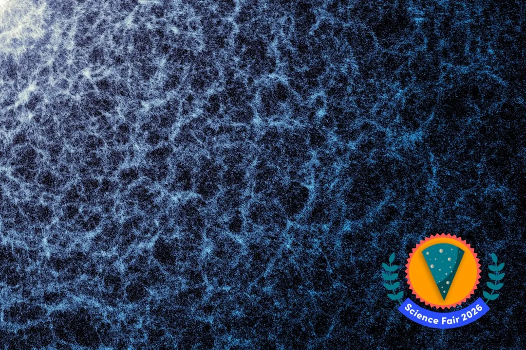 DESI Completes Five-Year Survey, Builds Largest 3D Map of the Universe