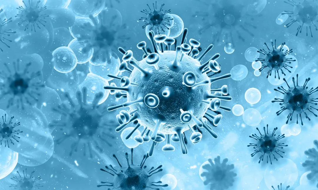 Scientists Describe a "Third State" of Cells Between Life and Death