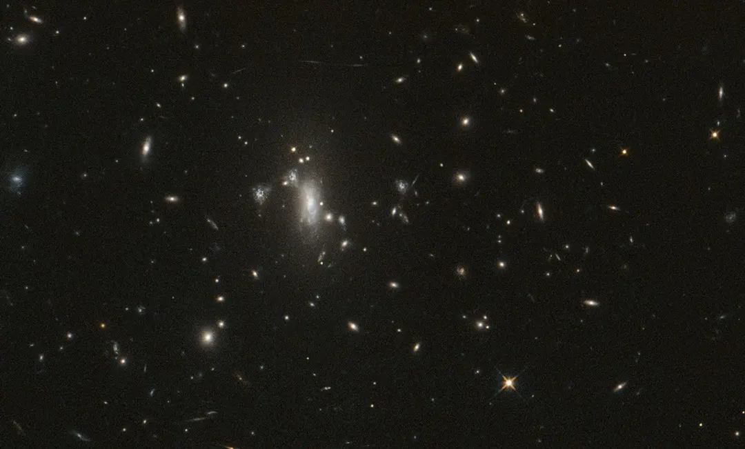 Hubble Marks 200,000th Orbit by Watching Lensed Supernova