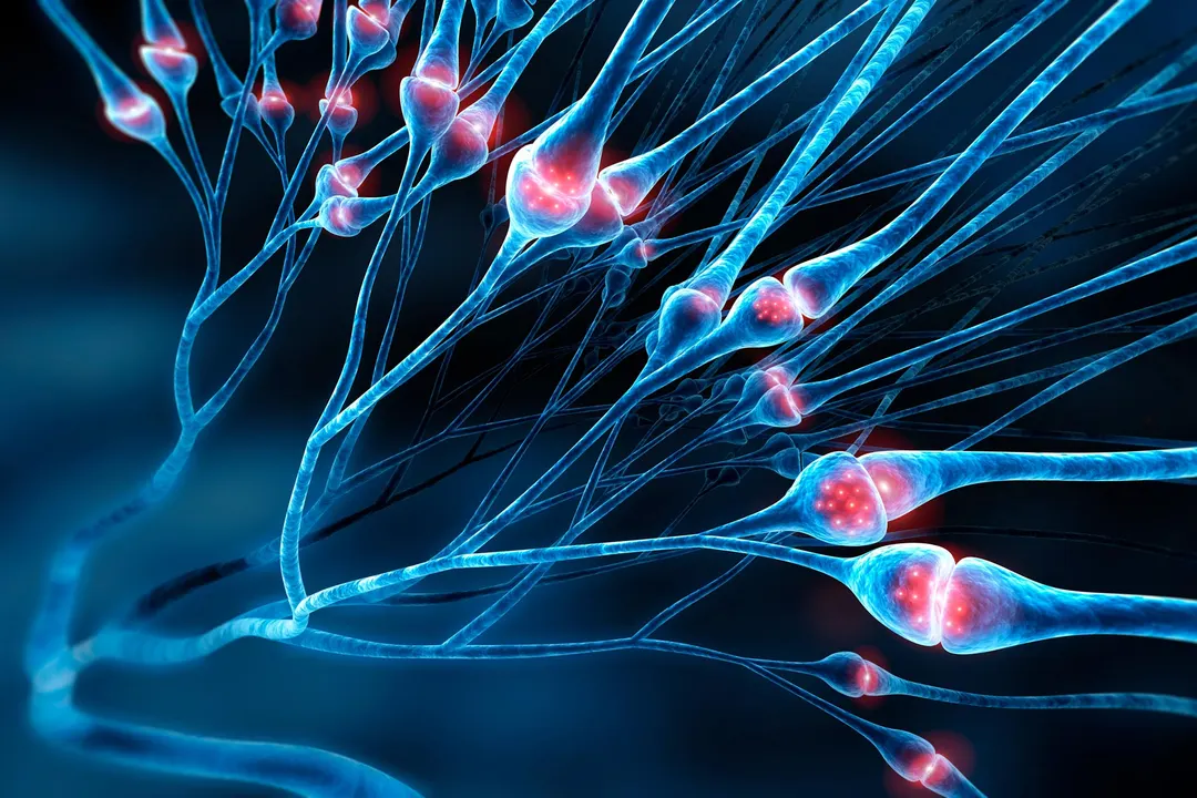Scientists develop local anesthetic lasting weeks instead of hours