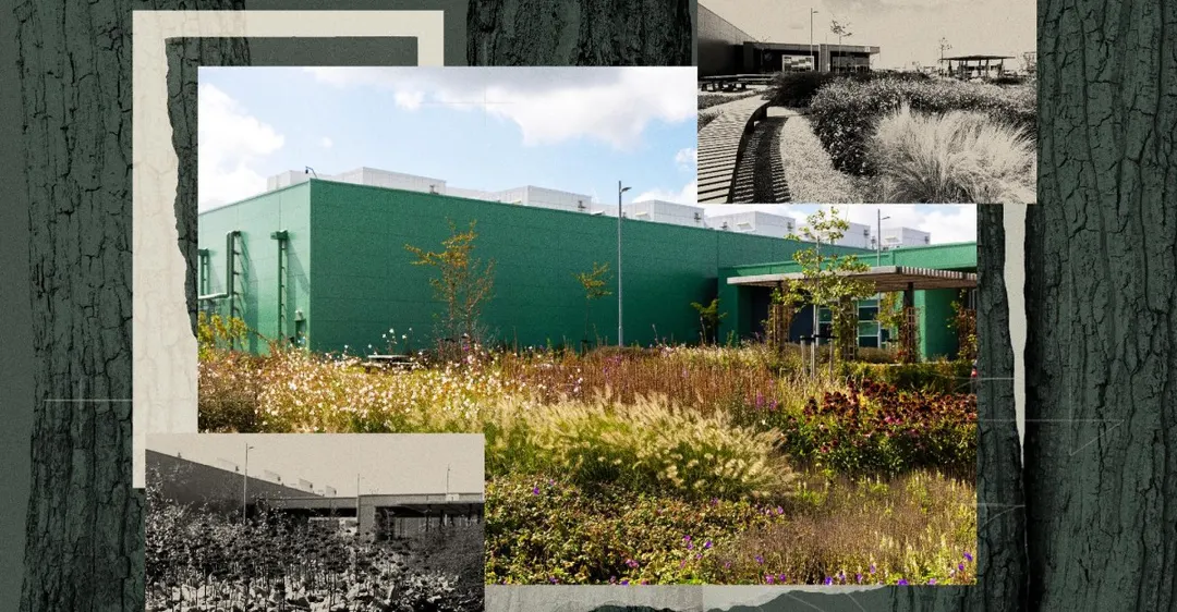 Microsoft expands data center 'biomimicry' as local pushback grows