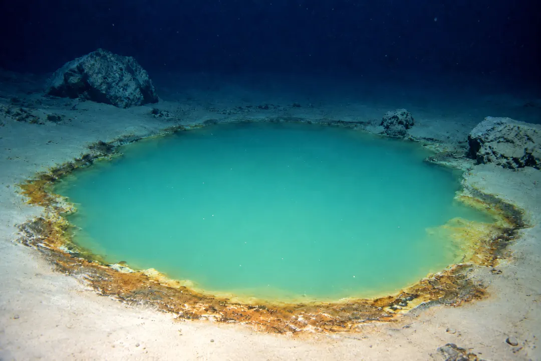 Red Sea brine pools hint at life before oxygen