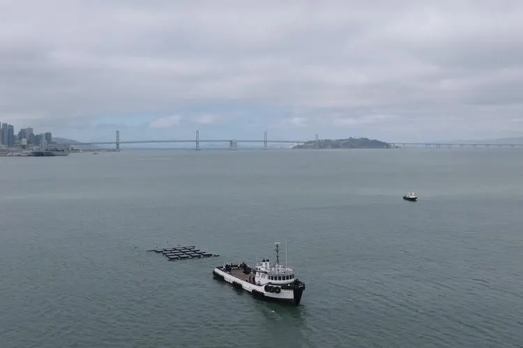 NetworkOcean runs AI workloads on floating solar-powered data center in San Francisco Bay