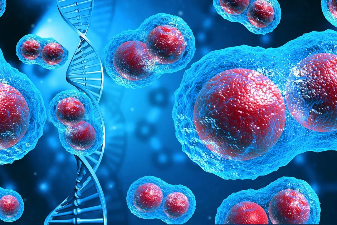 Scientists Find Achilles' Heel in Cancer's Rogue Extrachromosomal DNA