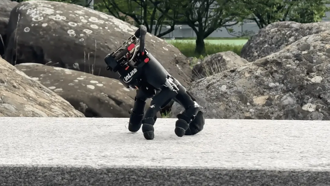 ETH Zurich's severed robot hand walks on its fingers and types on a keyboard