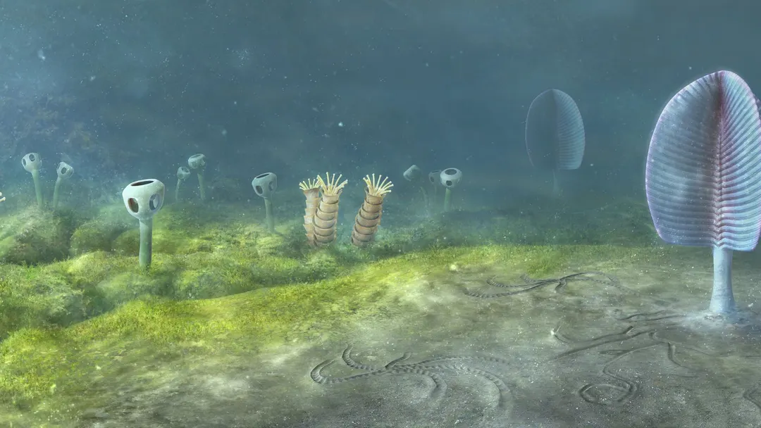 Animals may have evolved 200 million years earlier than thought