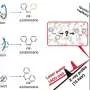 Ultrafast X-rays reveal how azobenzene switches shape