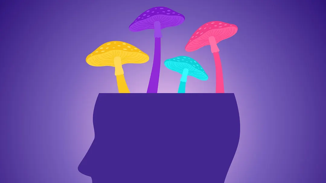 Psilocybin may protect the brain from mild head trauma