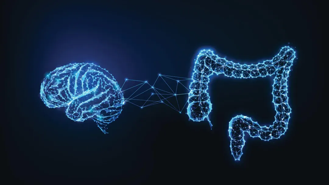 Gut bacteria molecule ImP linked to higher Alzheimer's risk