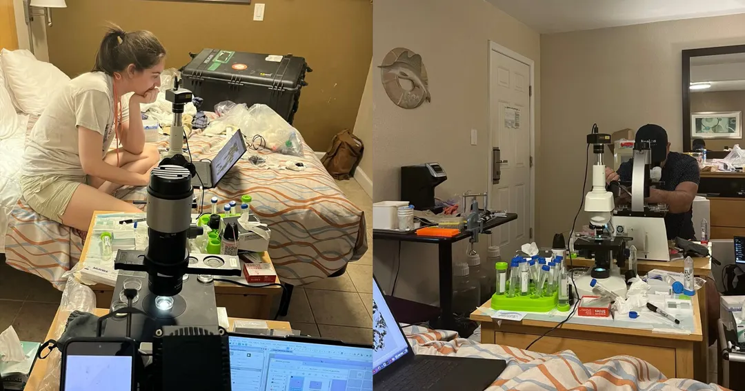Biologists Who Lost Funding Turned Motel Room into Lab, Found Two New Species
