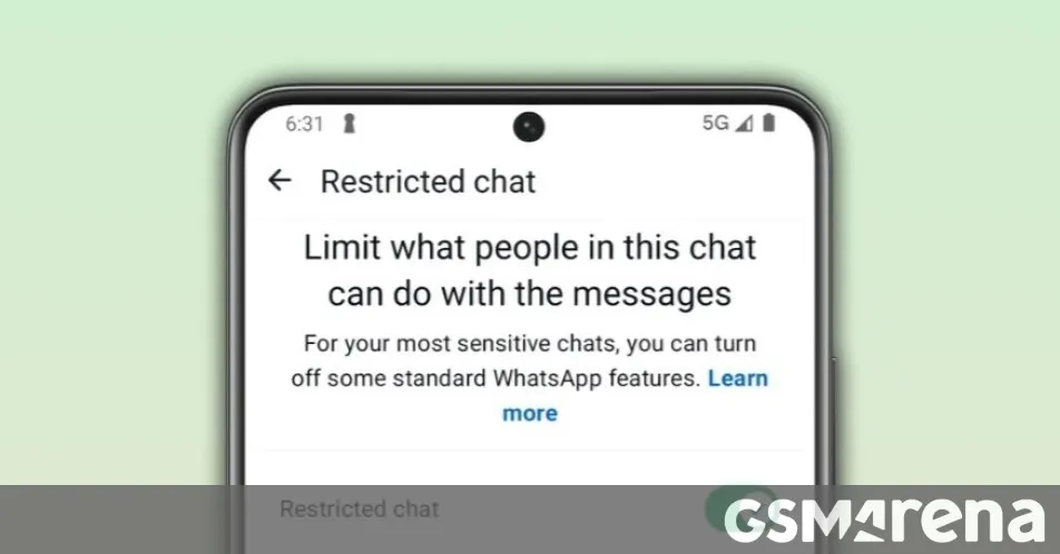 WhatsApp tests Restricted Chat with four limitations