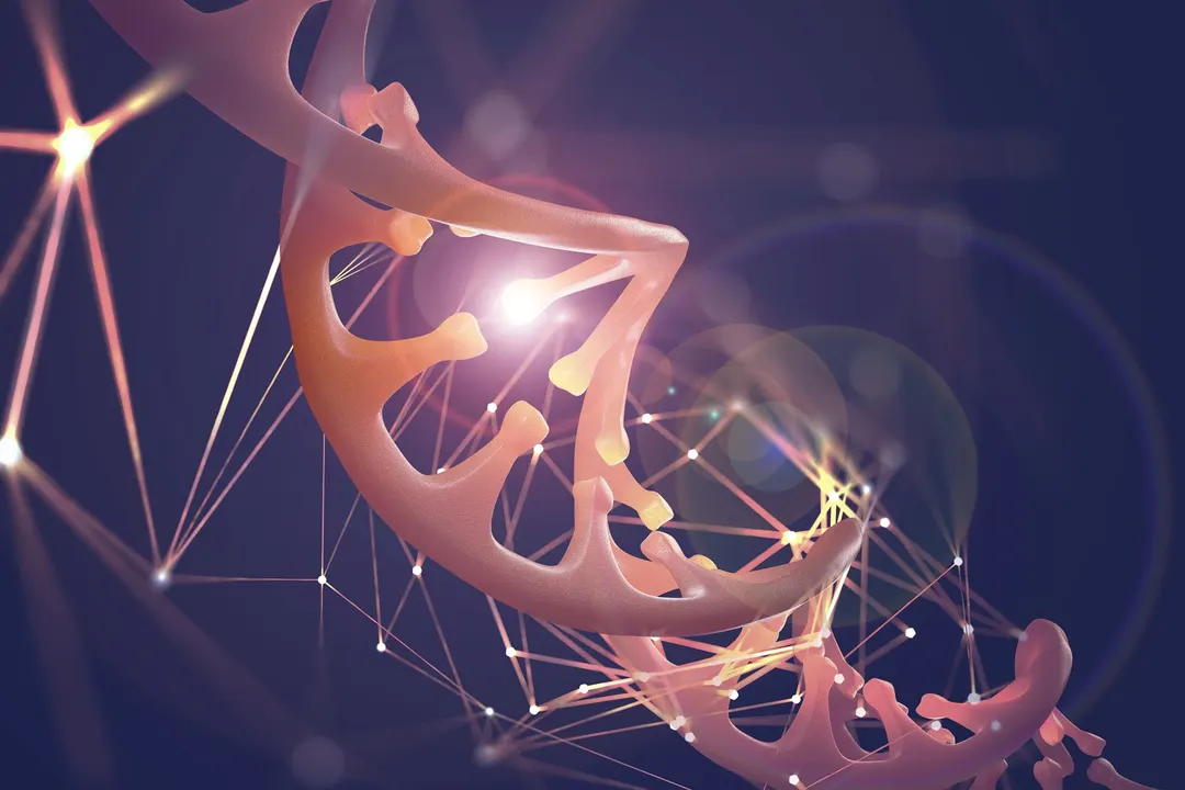 ChromAgeNet AI detects stem cell aging from 3D DNA architecture