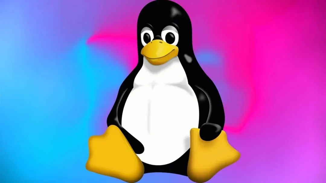 Netherlands builds its own Linux OS to cut reliance on Microsoft