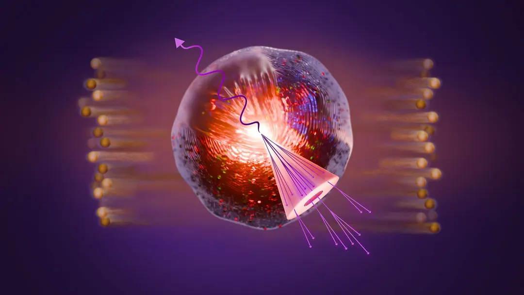 STAR at RHIC sees hint of a critical point in nuclear matter