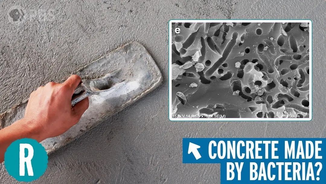 Super-sticky 'living cement' could turn Martian dirt into 3D-printed shelters
