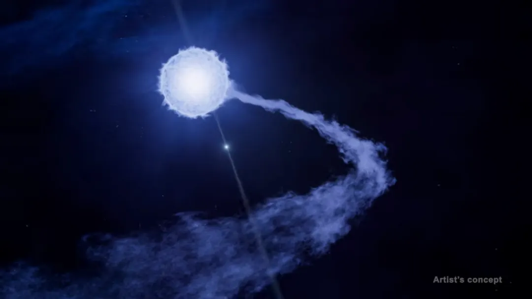 XRISM Makes First-Ever Detection of a Pulsar Feeding from a Companion's Stellar Wind