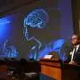 US-German trio wins medicine Nobel for optogenetics work