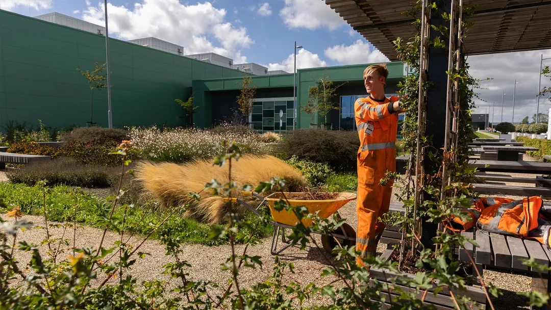 Microsoft builds ecosystems into new data center projects