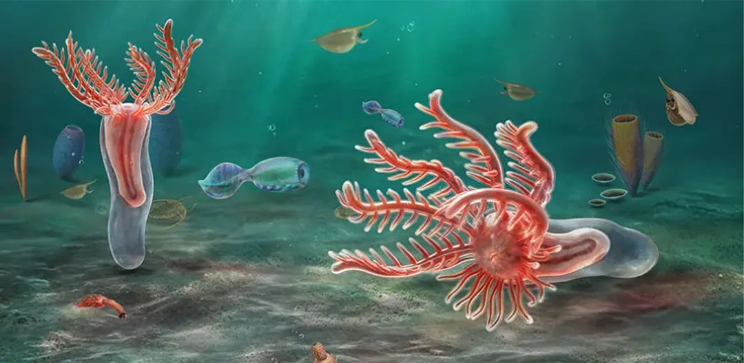 518-Million-Year-Old Fossil Rewrites the Origin of Starfish